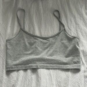 Aritzia Gray Tank Top